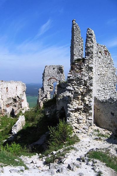 Wikipédia Plavecký hrad